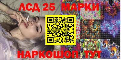 СК Сланцы