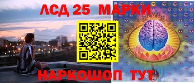 индика Славгород
