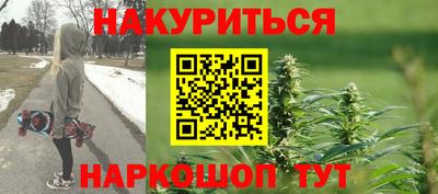 индика Славгород